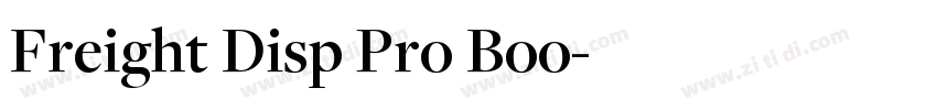 Freight Disp Pro Boo字体转换